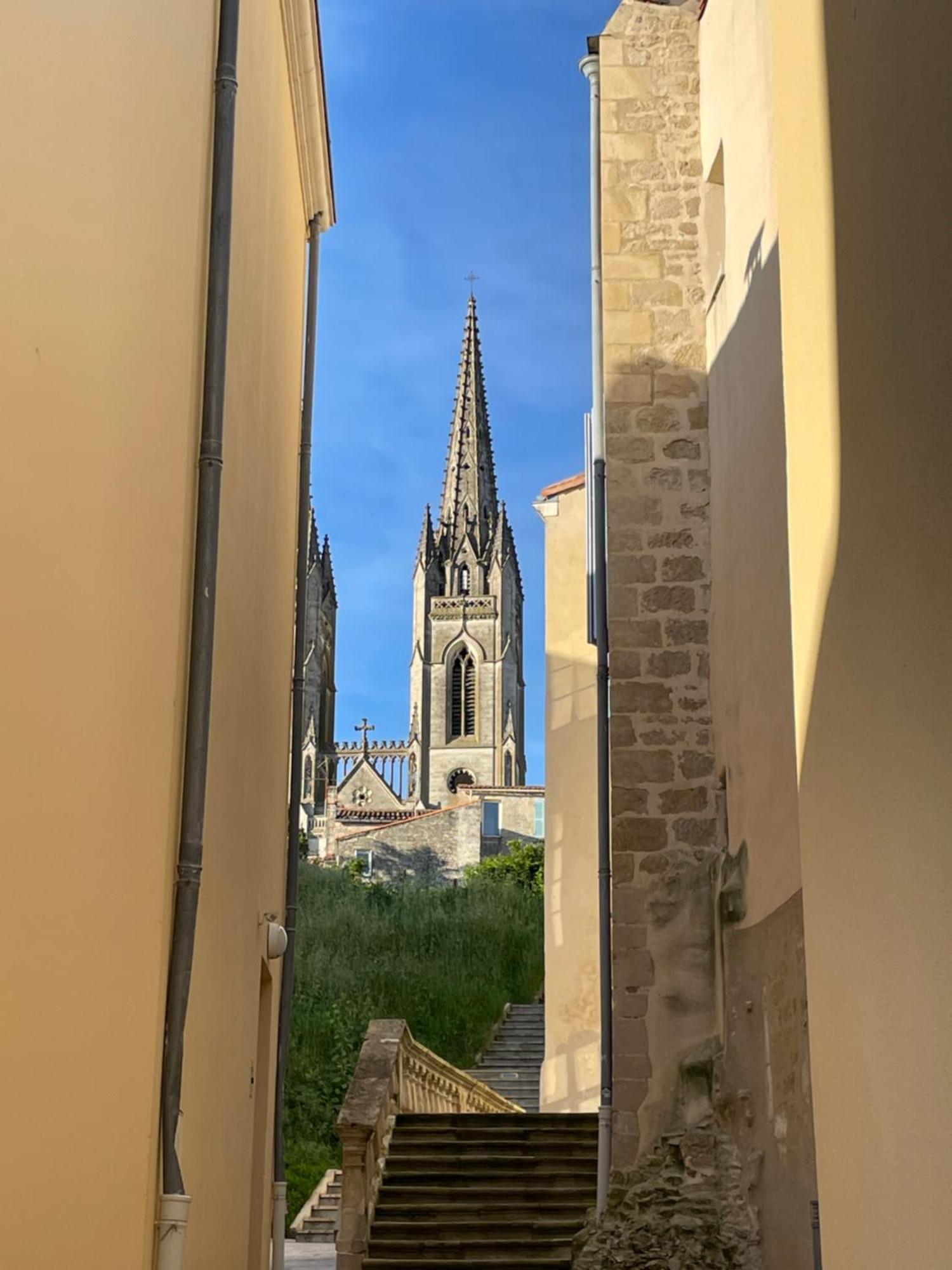 Chez Jean-Yves Et Zoe - Le Saint Andre - Au Calme, Tres Propre, Proche Parkings, Clim Apartment Ниор Екстериор снимка